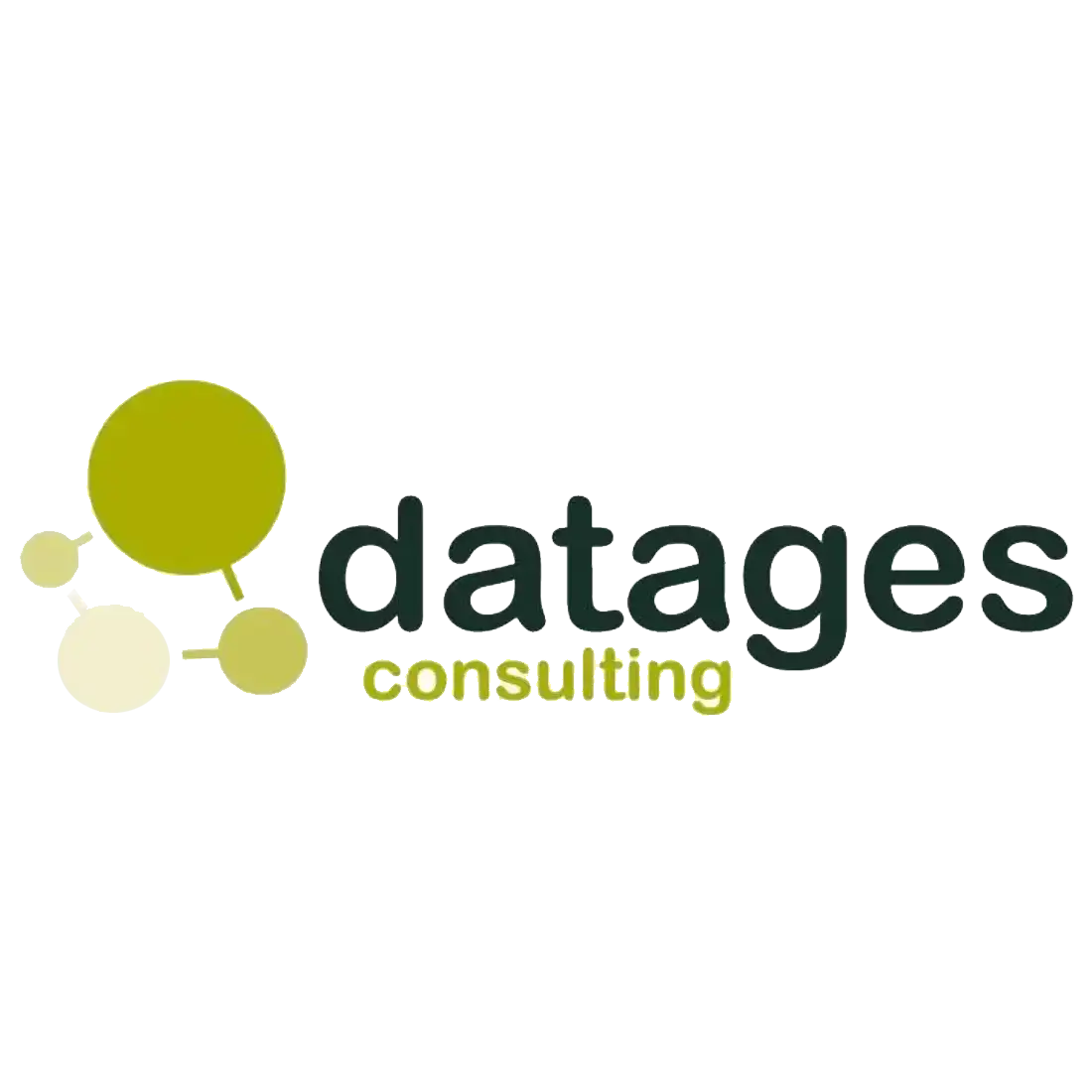 logotipo_datagest_consulting_1